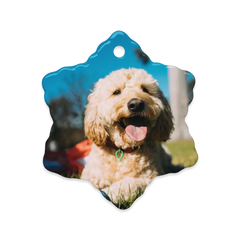 Dual-View Ceramic Ornaments