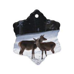 Dual-Sided Ceramic Ornaments