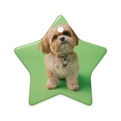 Dual-Display Ceramic Ornaments