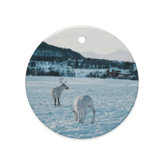 Dual-Side Glossy Ceramic Ornaments