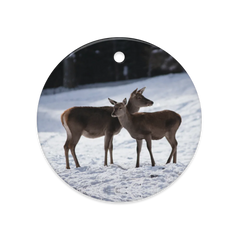 Dual-Sided Ceramic Ornaments