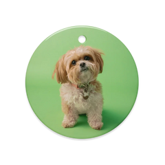 Dual-Display Ceramic Ornaments