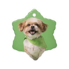 Dual-Sided Glossy Ceramics