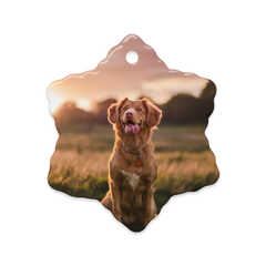 Dual-Scene Ceramic Ornaments