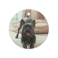 Dual-View Ceramic Ornaments