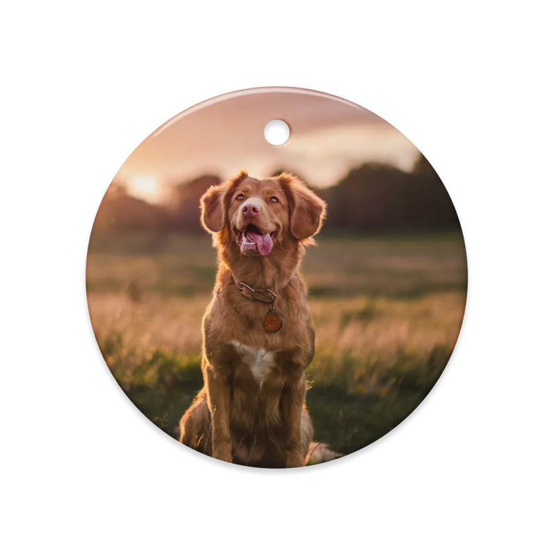 Dual-Scene Ceramic Ornaments