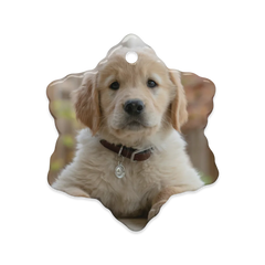 Dual-Glaze Ceramic Ornaments