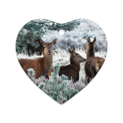 Dual-View Ceramic Ornaments