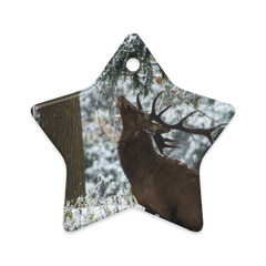 Dual-Sided Ceramic Charms