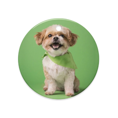 Dual-Sided Glossy Ceramics