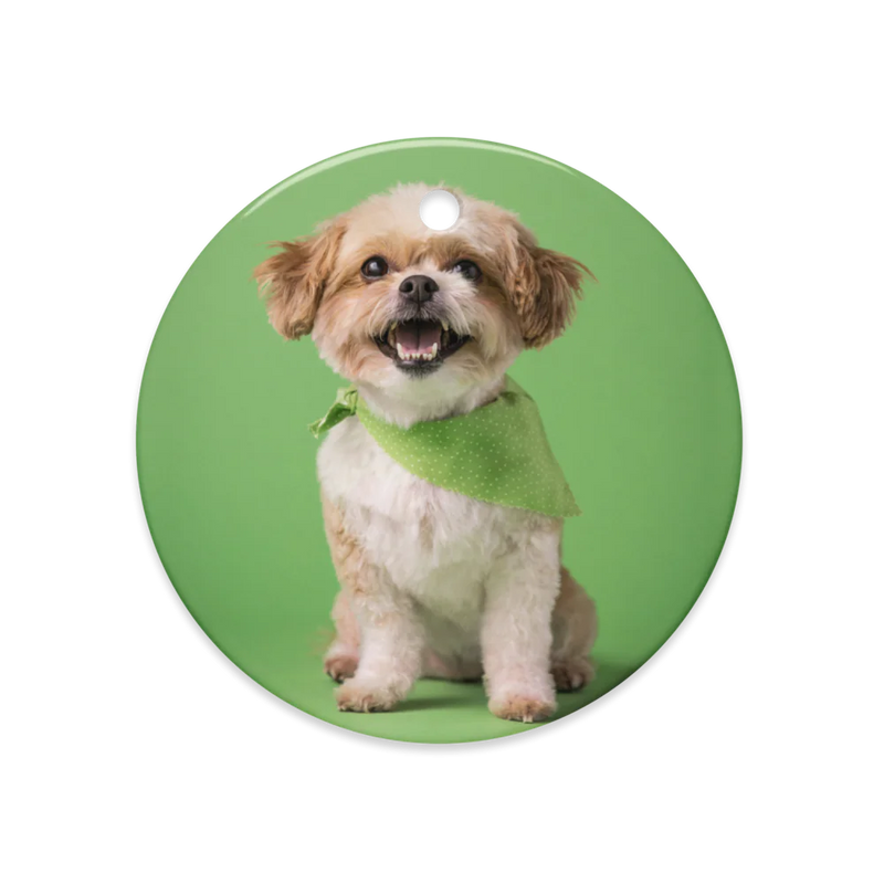 Dual-Sided Glossy Ceramics