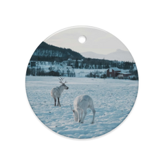 Dual-Side Glossy Ceramic Ornaments