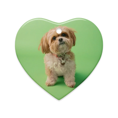 Dual-Display Ceramic Ornaments