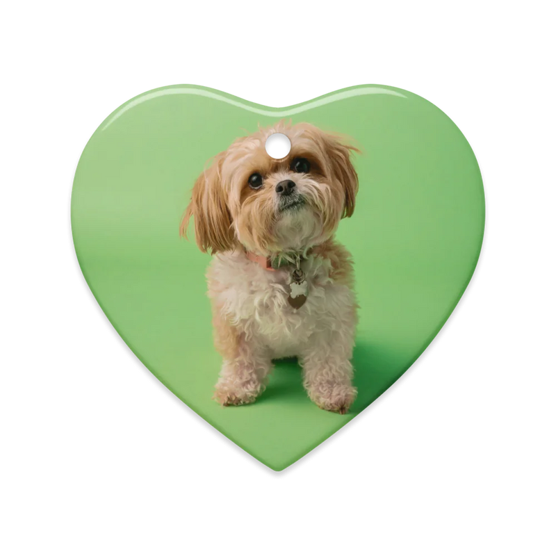 Dual-Display Ceramic Ornaments