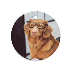 Dual-Sided Ceramic Ornaments