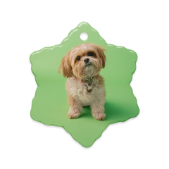 Dual-Display Ceramic Ornaments