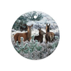 Dual-View Ceramic Ornaments