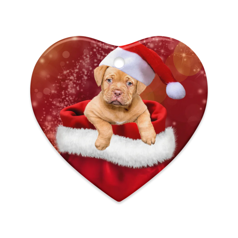 Glossy Double-Sided Ceramic Ornaments