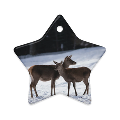 Dual-Sided Ceramic Ornaments