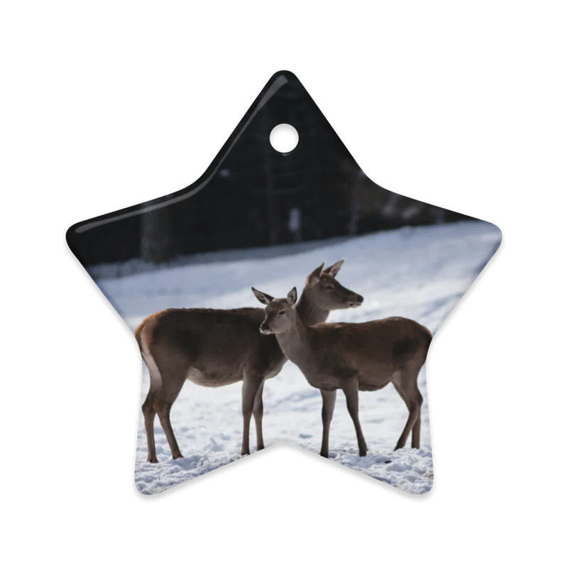 Dual-Sided Ceramic Ornaments