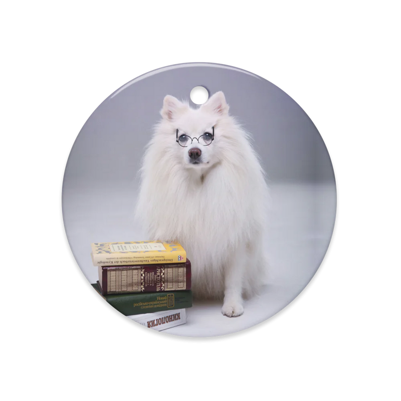 Dual-Gleam Ceramic Ornaments