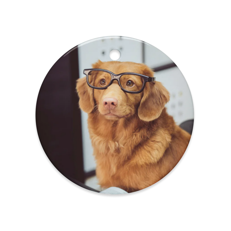 Dual-Sided Ceramic Ornaments