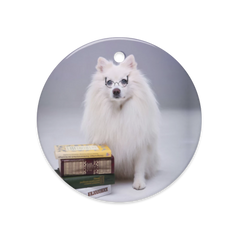 Dual-Gleam Ceramic Ornaments