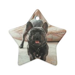 Dual-View Ceramic Ornaments