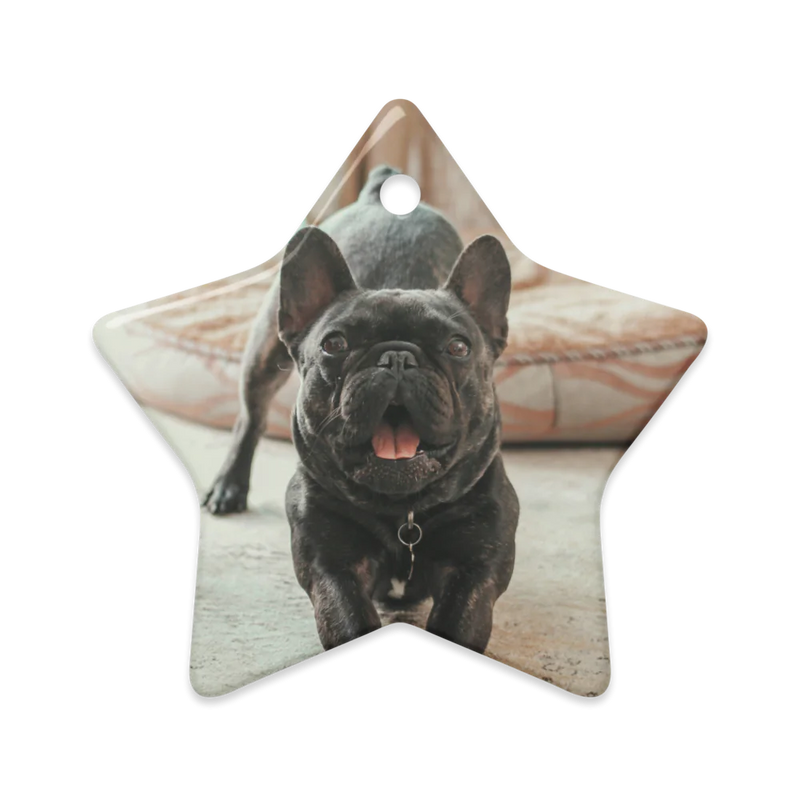 Dual-View Ceramic Ornaments