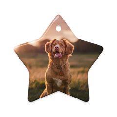 Dual-Scene Ceramic Ornaments