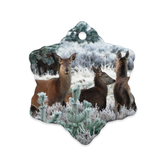 Dual-View Ceramic Ornaments