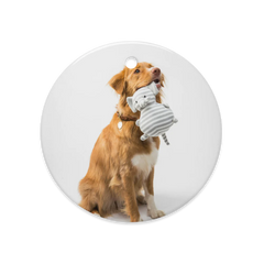 Dual-Gleam Ceramic Ornaments