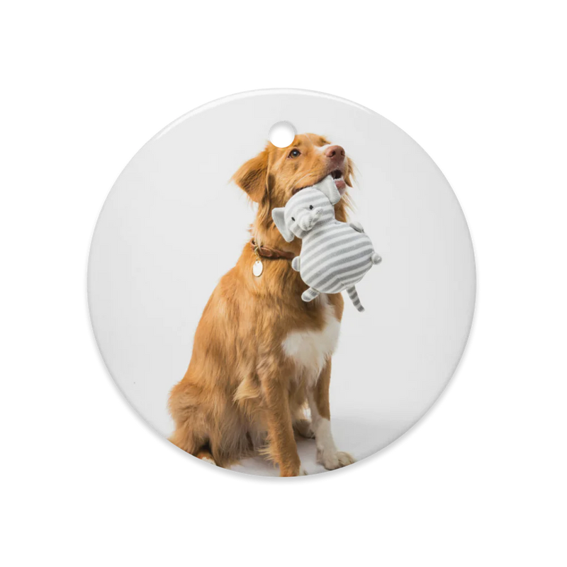 Dual-Gleam Ceramic Ornaments