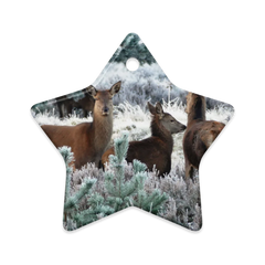 Dual-View Ceramic Ornaments