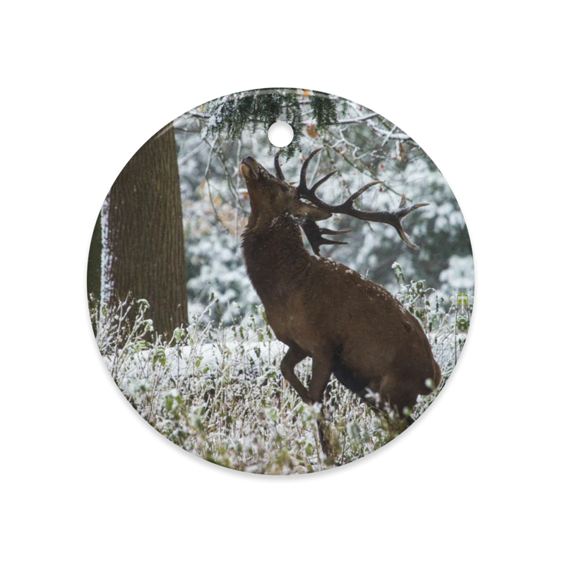 Dual-Sided Ceramic Charms