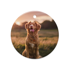 Dual-Scene Ceramic Ornaments