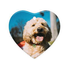 Dual-View Ceramic Ornaments