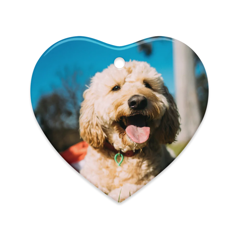 Dual-View Ceramic Ornaments