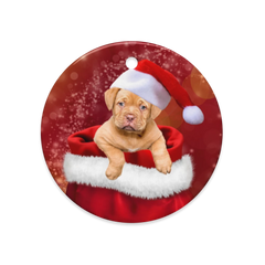 Glossy Double-Sided Ceramic Ornaments