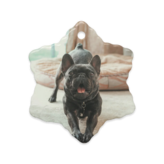 Dual-View Ceramic Ornaments