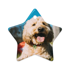 Dual-View Ceramic Ornaments