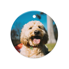 Dual-View Ceramic Ornaments